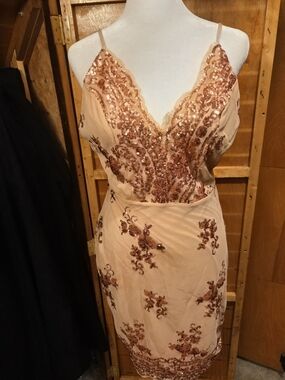 Embellished Nude Lace-Trim Slip Dress Sz L